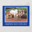 Search for costa rica postcards Central america
