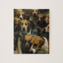 Search for hunting dog puzzles Outdoors