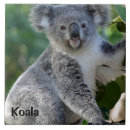 Search for australian tiles Cute