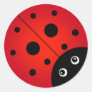 Search for black beetle stickers Red and black