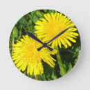 Search for weed clocks Garden