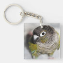 Search for cheeks key rings Green cheeked conure