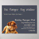 Search for dog walker advertising Modern