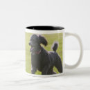 Search for frisbee mugs Flying