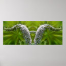 Search for wildflower abstract posters Floral