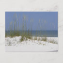 Search for seagrass postcards Beach