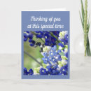Search for bluebonnet photography Floral