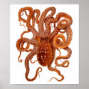 Search for vintage octopus posters Animal