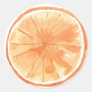 Search for orange slice stickers Tropical