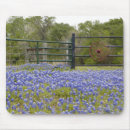 Search for texas mousepads Plants