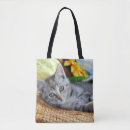Search for lounge accessories Cat