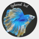 Search for betta fish stickers Pet