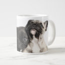 Search for three animals mugs Cute