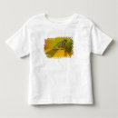Search for tree frog tshirts Green