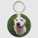 Search for smile key rings Puppy