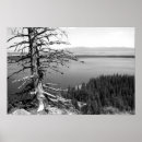 Search for vintage lake posters Outdoors