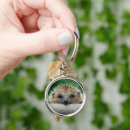 Search for hedgehog key rings Mammal