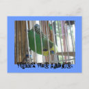 Search for wallie Bird