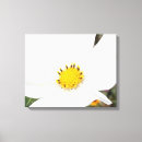 Search for yellow flower canvas prints Wildflower