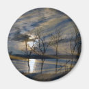 Search for merchbooth magnets Nature