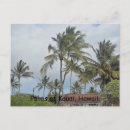 Search for island beauty postcards Palm tree