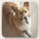 Search for loyalty coasters Friendship