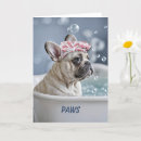 Search for french get well cards Feel better