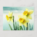 Search for st davids day postcards Wales