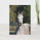 Search for bob cards Grey