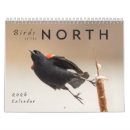 Search for bird calendars Photography