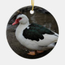 Search for feathers christmas tree decorations Photography