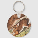 Search for hare key rings Rabbit