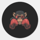 Search for full contact stickers Martial arts lifestyle