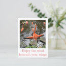 Search for flamingo postcards Birds