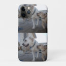 Search for labrador puppy iphone cases Dog