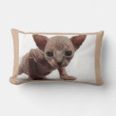 Search for ugly home decor Cat