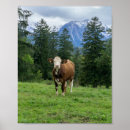 Search for pasture posters Nature