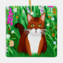 Search for field christmas tree decorations Field of flowers
