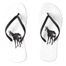 Search for winter shoes Wildlife