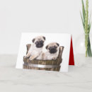 Search for pug dog birthday cards Puppies