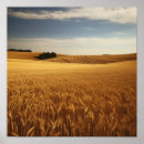 Search for wheat field posters Country
