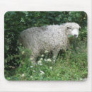 Search for sheep mousepads Cute