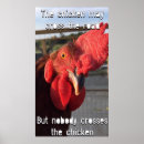 Search for crossed posters Rooster