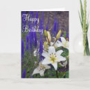Search for flower birthday cards Lily