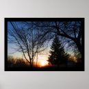 Search for mornings posters Sunrise