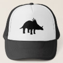 Search for dinos hats Paleontology