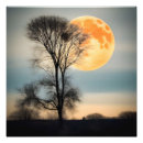 Search for bare trees posters Landscape