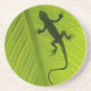 Search for changing leaves coasters Change