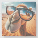 Search for camels coasters Sand