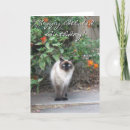 Search for gato cards Feline